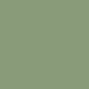 RAL6021ST - Vert pâle structuré