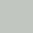 RAL7035ST Gris clair